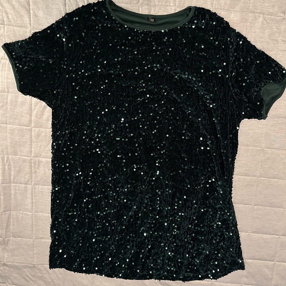 Plus Size Sequin Embellished Green Top